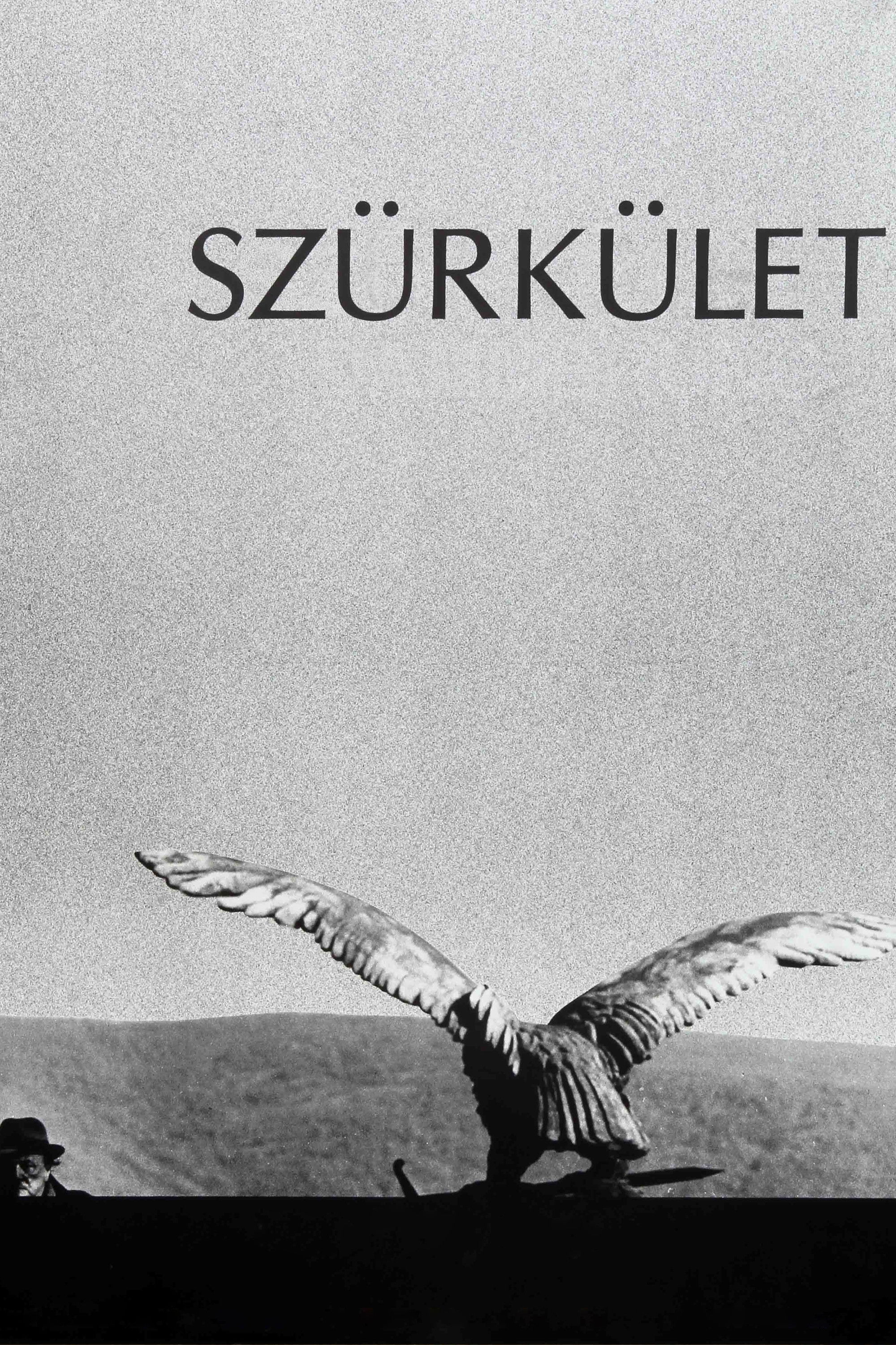 Locandina di Szürkület