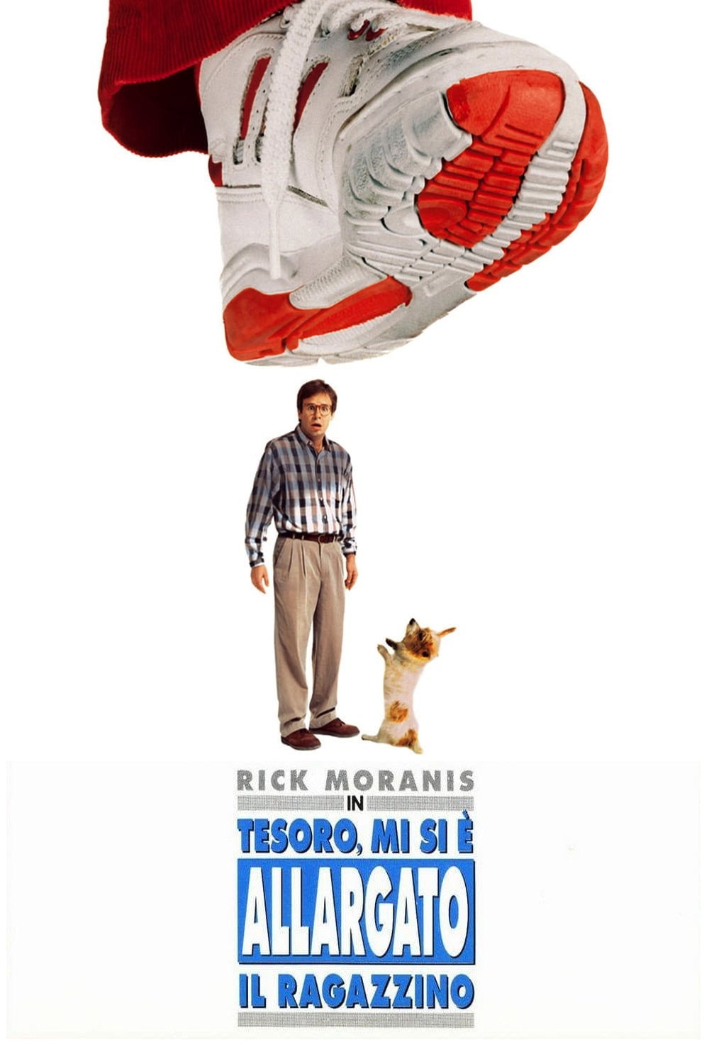 Locandina di Tesoro, mi si è allargato il ragazzino