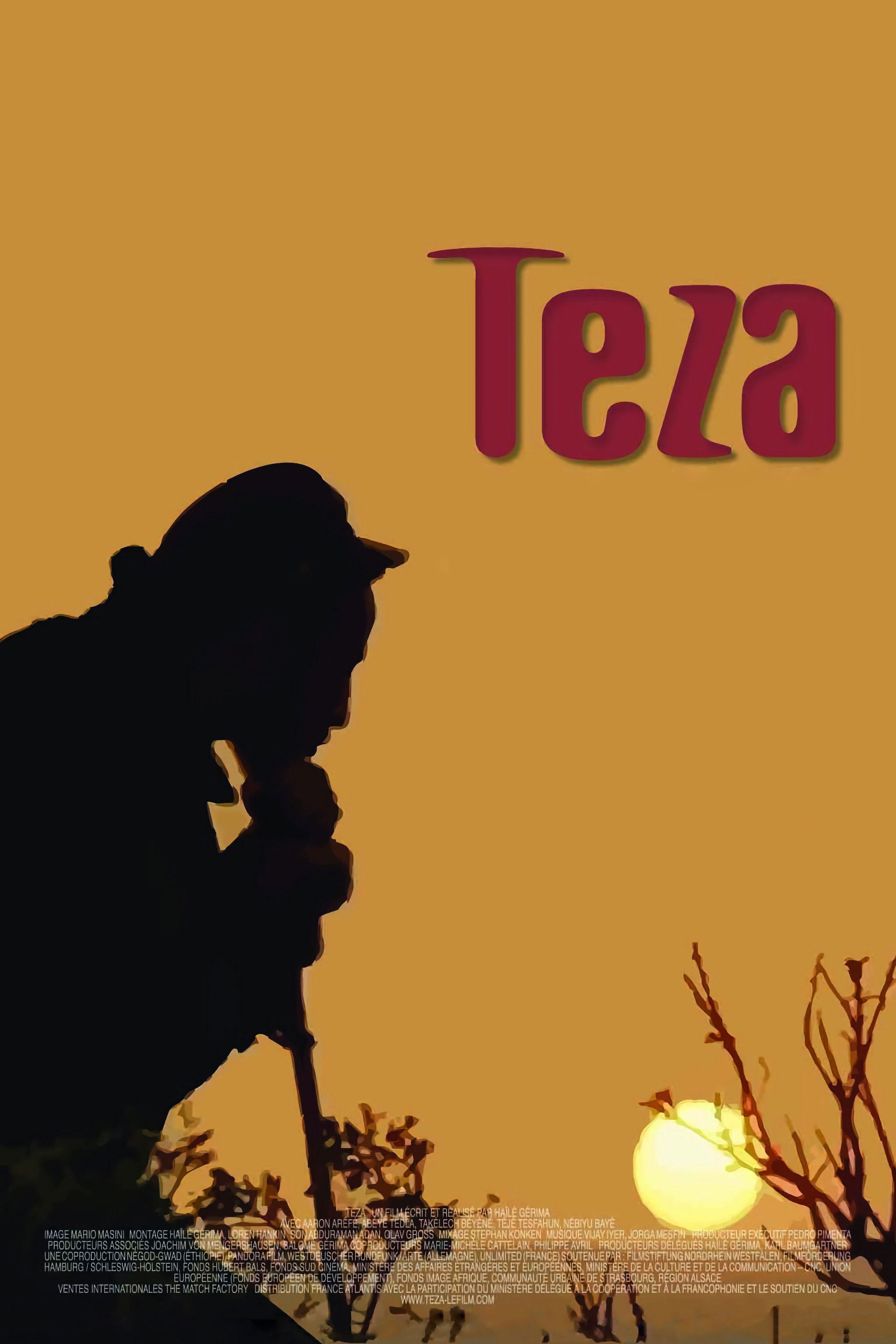 Locandina di Teza