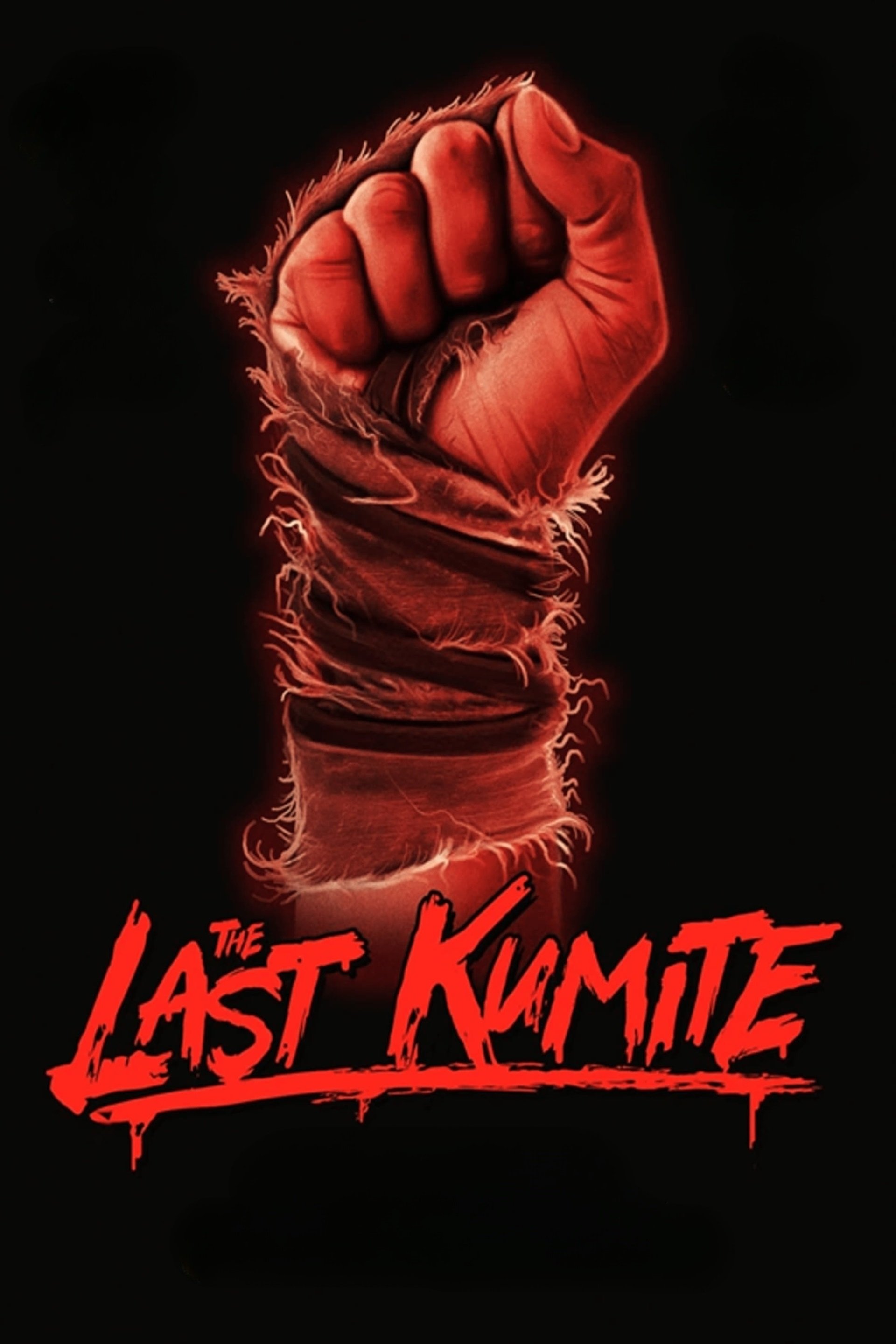 Locandina di The Last Kumite
