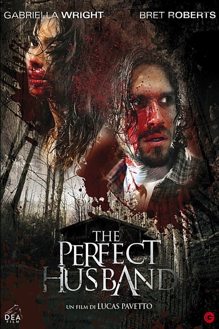 Locandina di The Perfect Husband