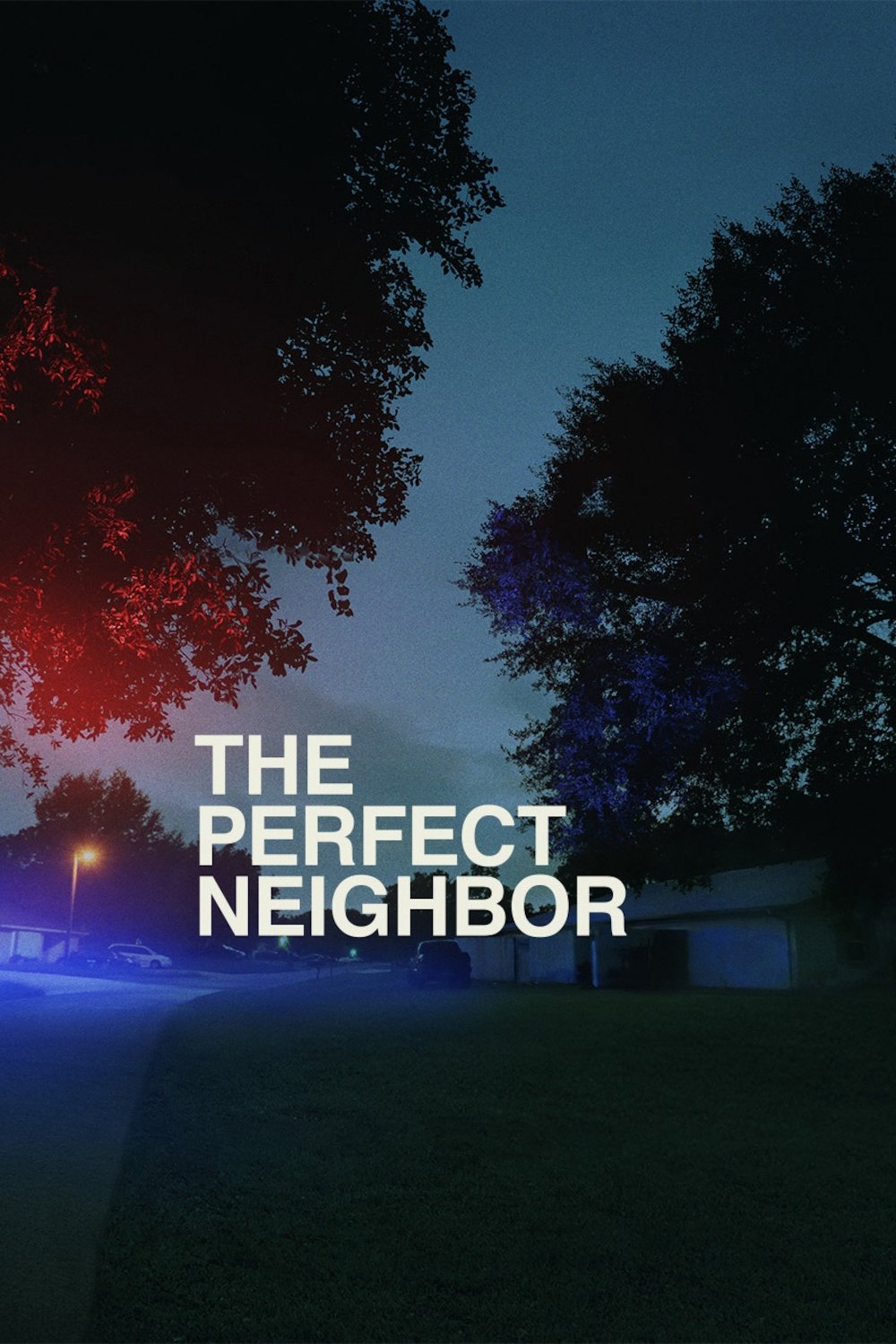 Locandina di The Perfect Neighbor: la vicina perfetta