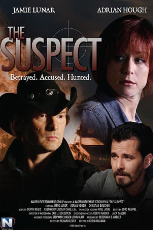 Locandina di The Suspect - Inganno fatale