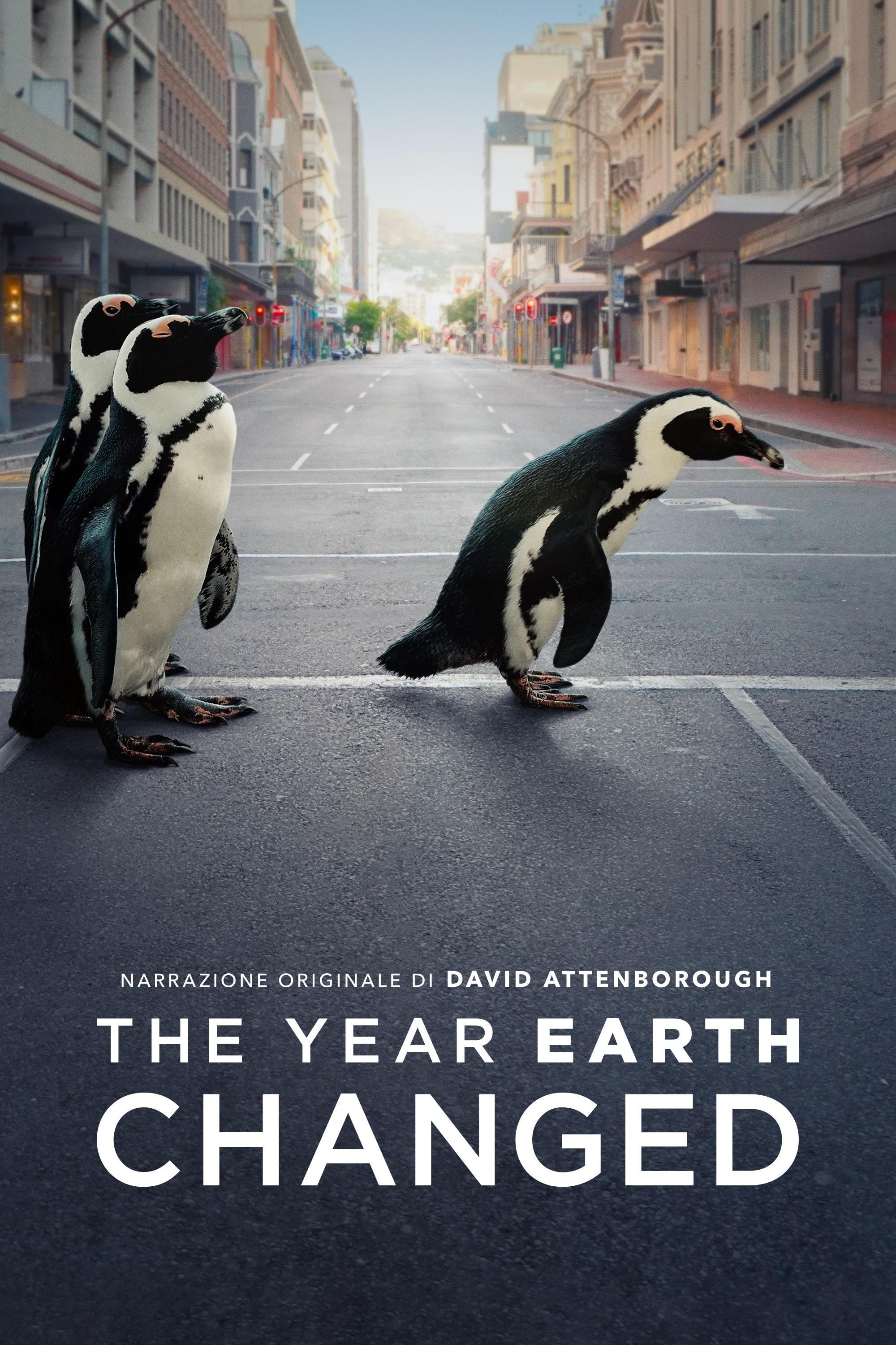 Locandina di The Year Earth Changed