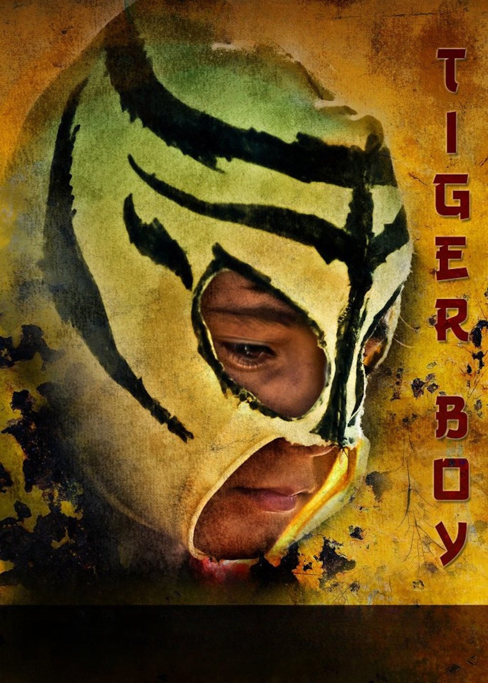 Locandina di Tiger Boy