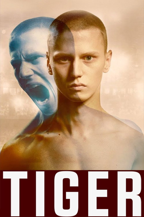 Locandina di Tigers