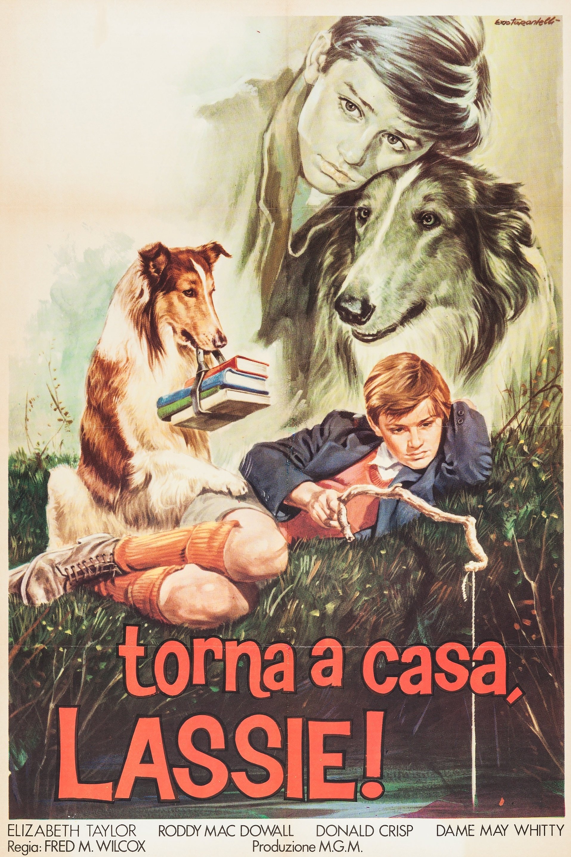 Locandina di Torna a casa Lassie!