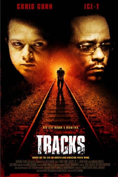 Locandina di Tracks