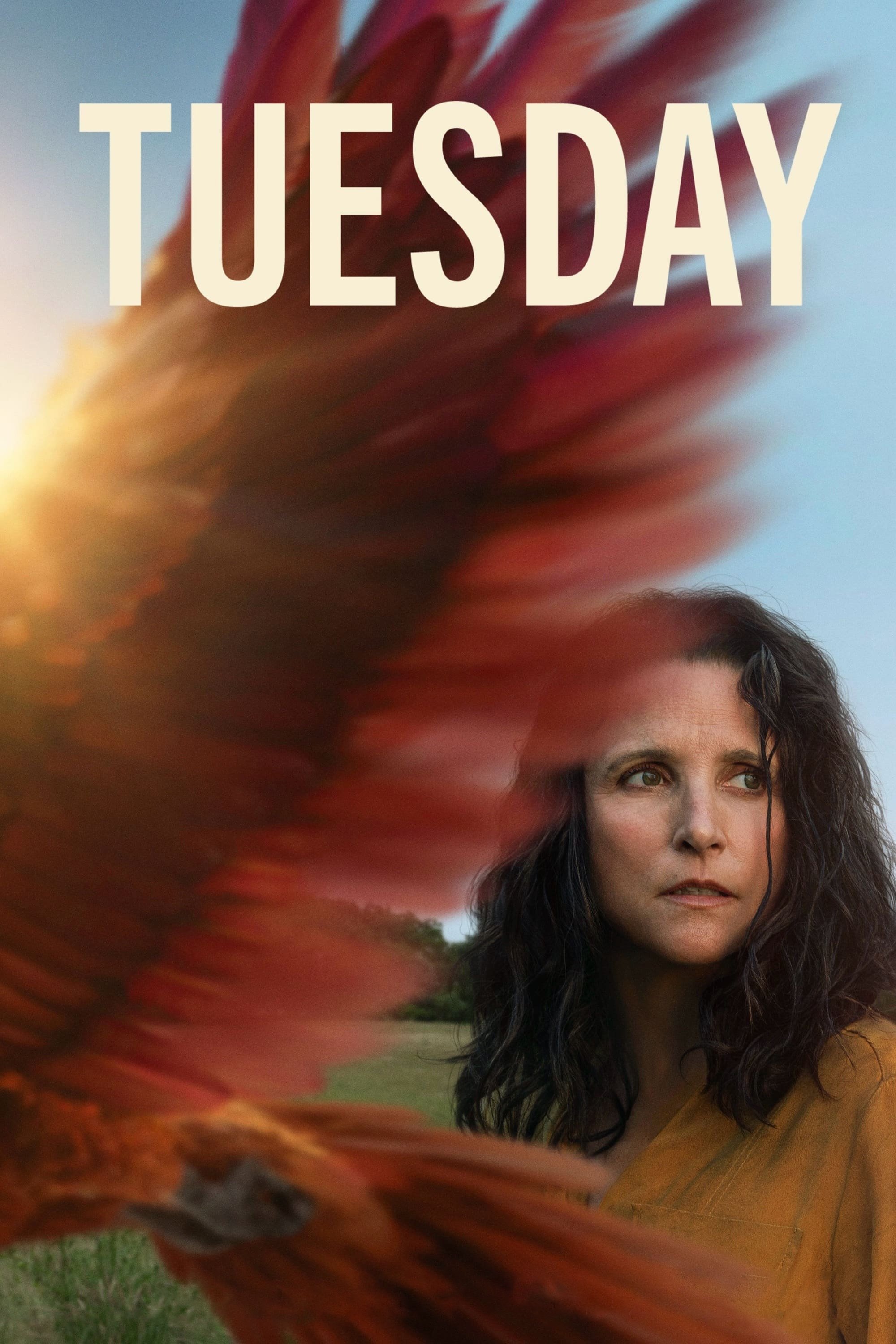 Locandina di Tuesday