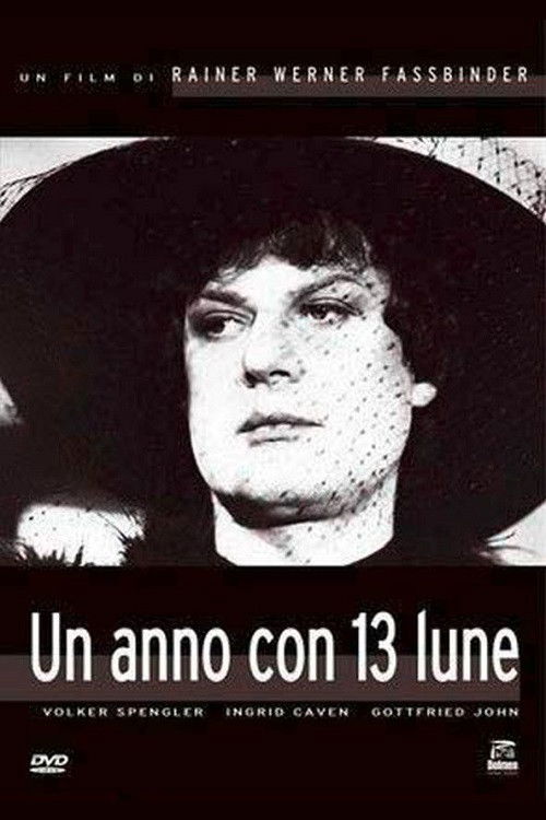 Locandina di Un anno con 13 lune