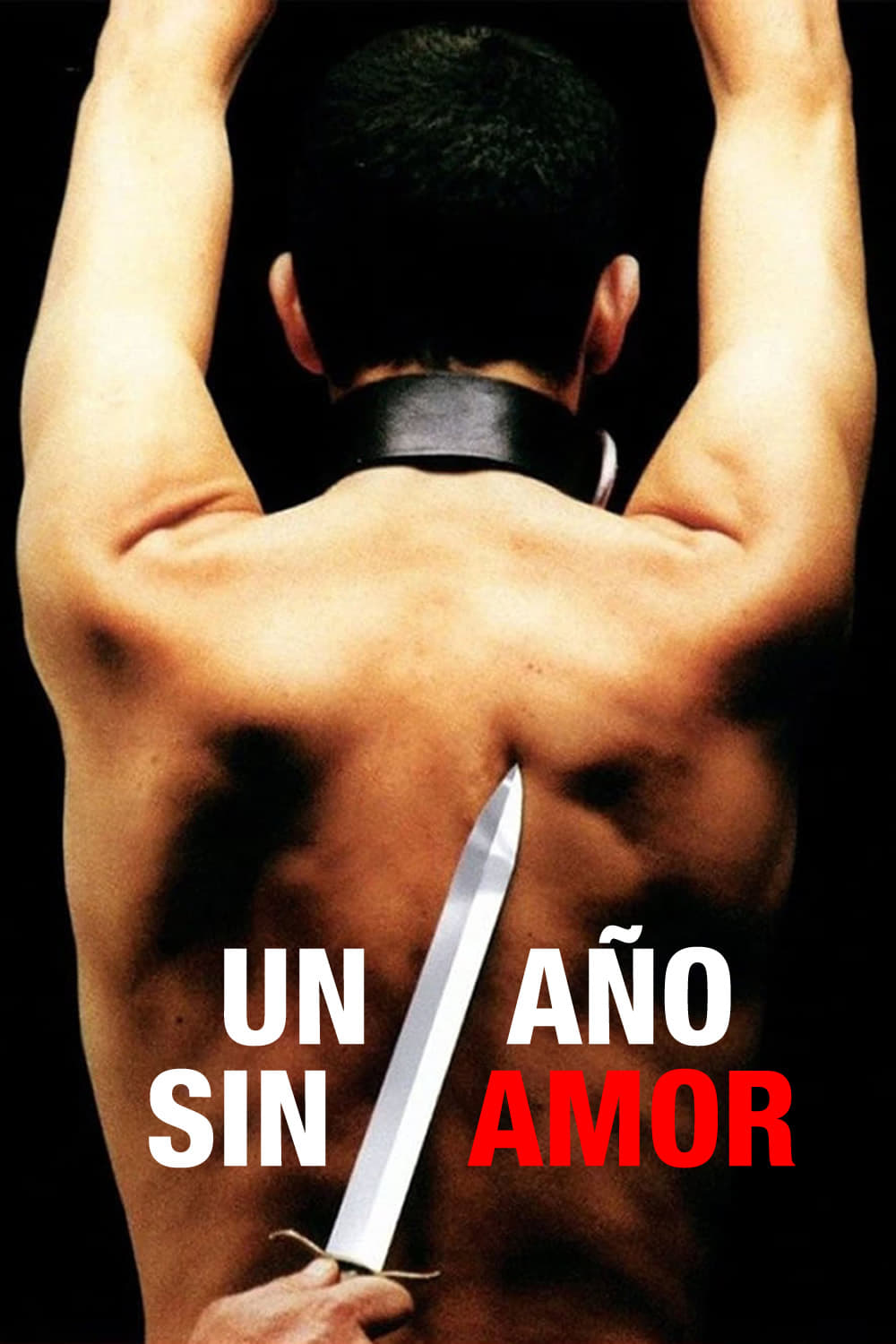 Locandina di Un año sin amor