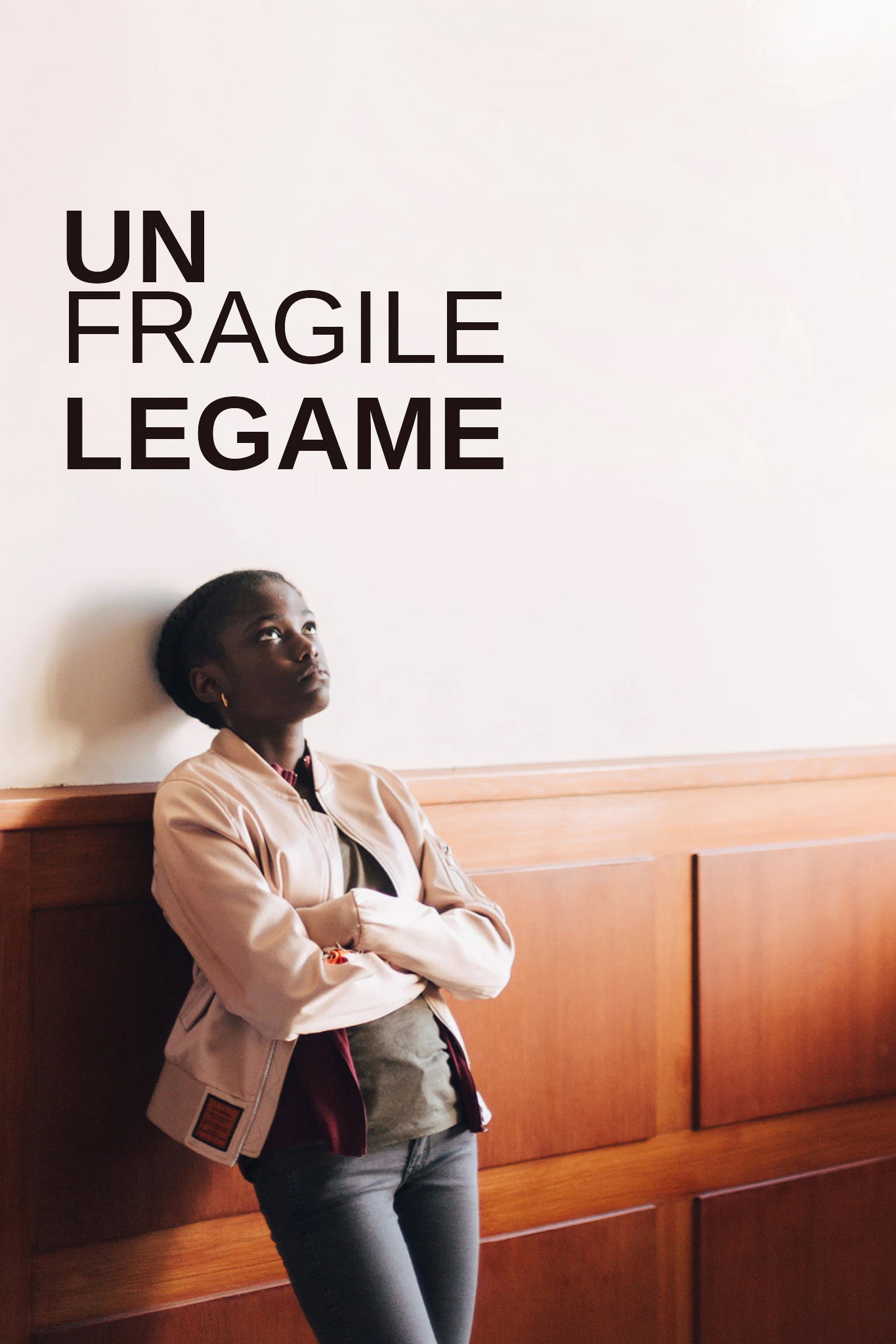 Locandina di Un fragile legame