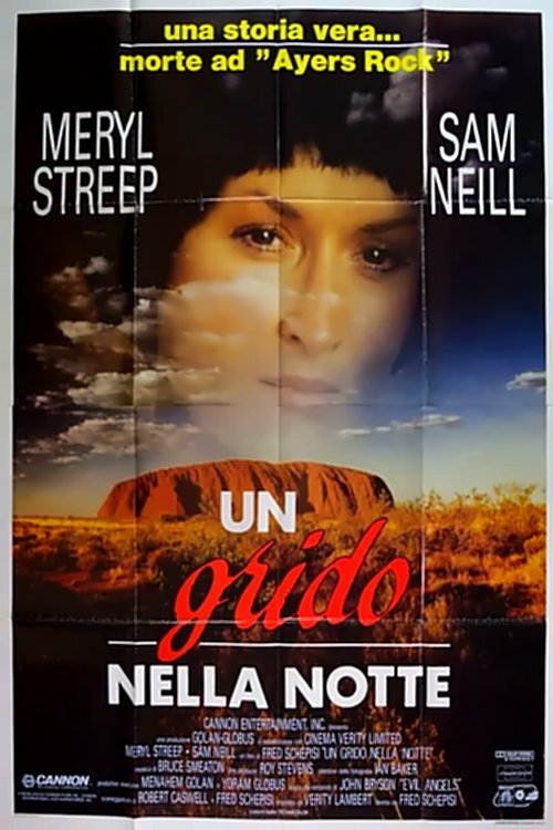 Locandina di Un grido nella notte