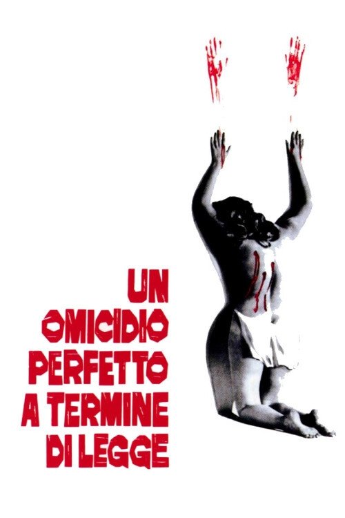 Locandina di Un omicidio perfetto a termine di legge