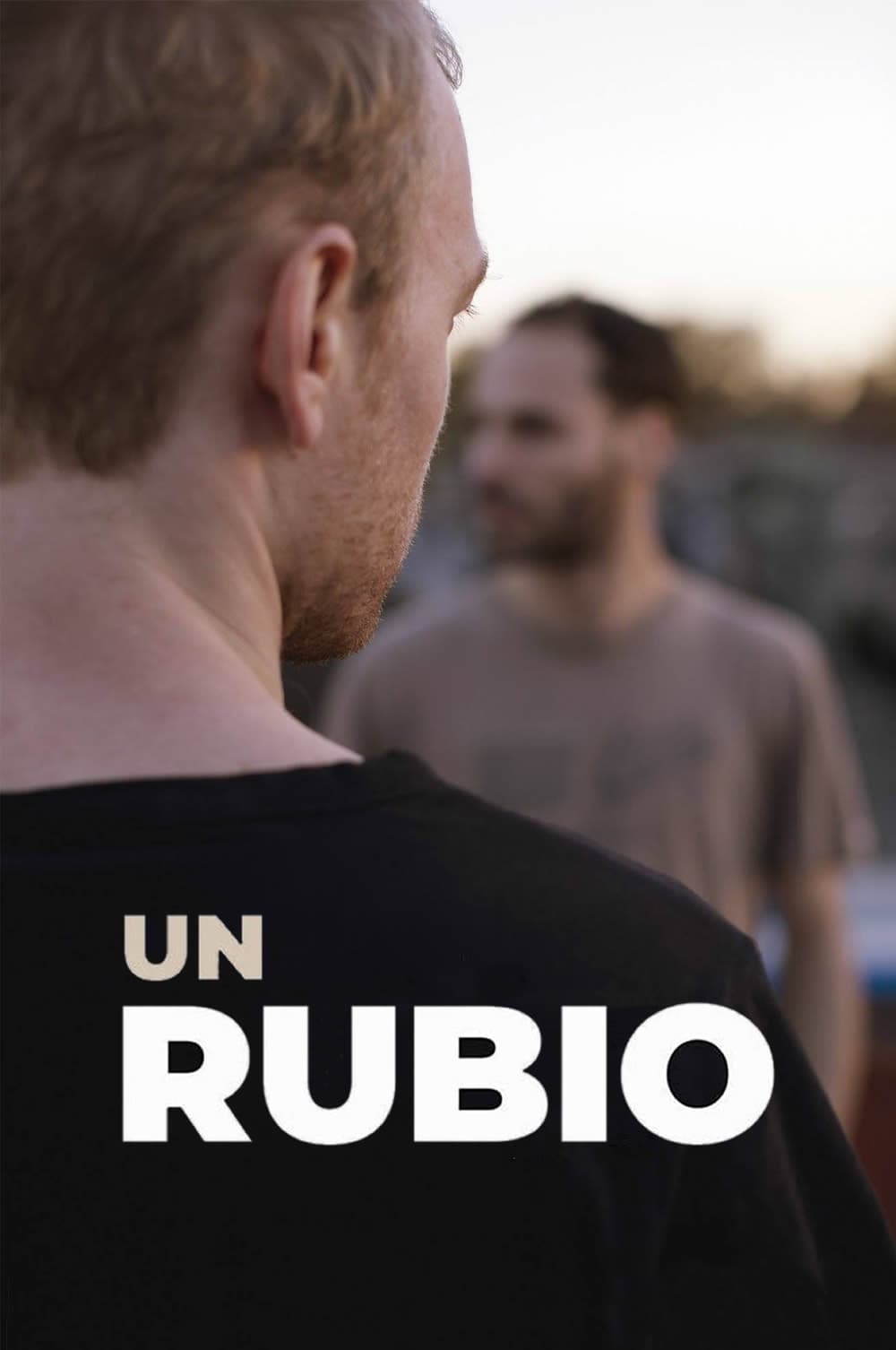 Locandina di Un rubio