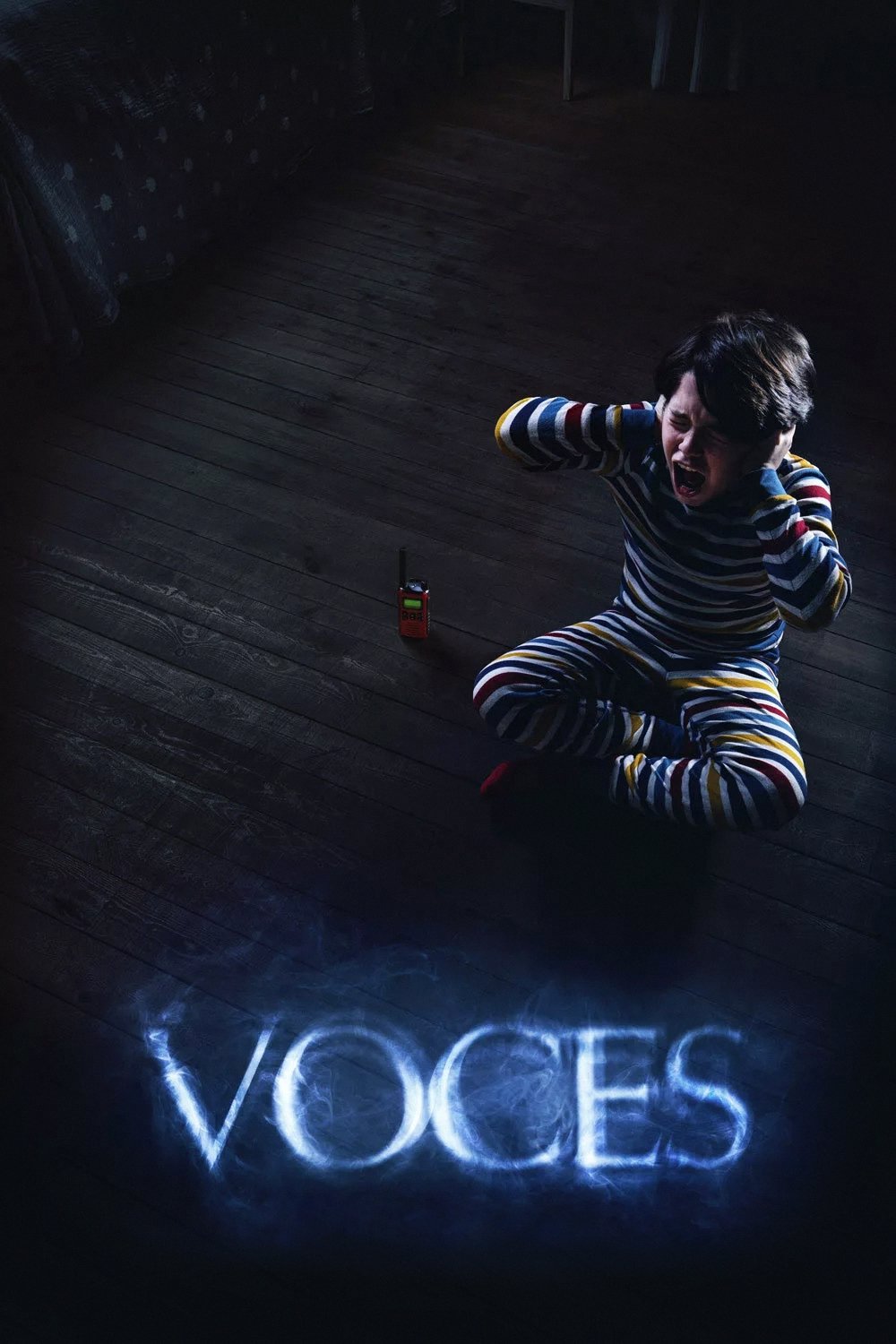 Locandina di Voces