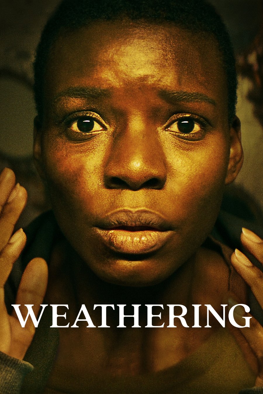 Locandina di Weathering