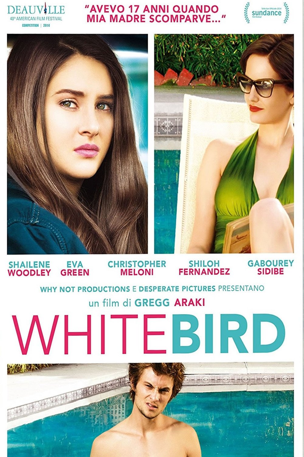 Locandina di White Bird