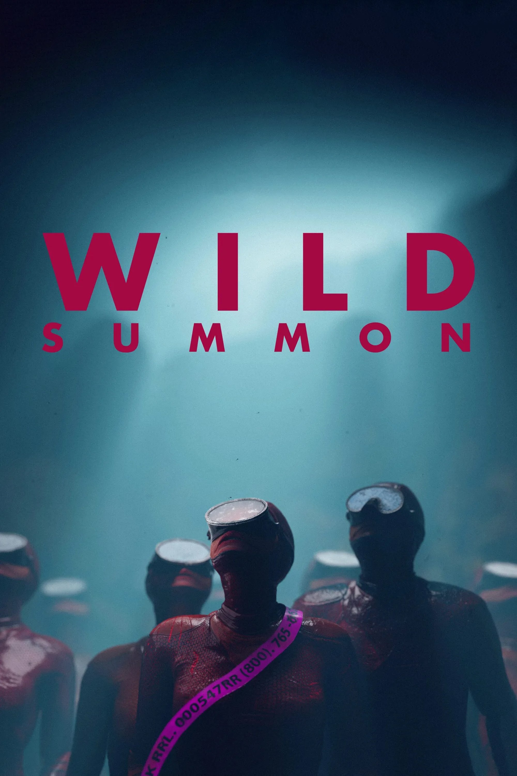 Locandina di Wild Summon