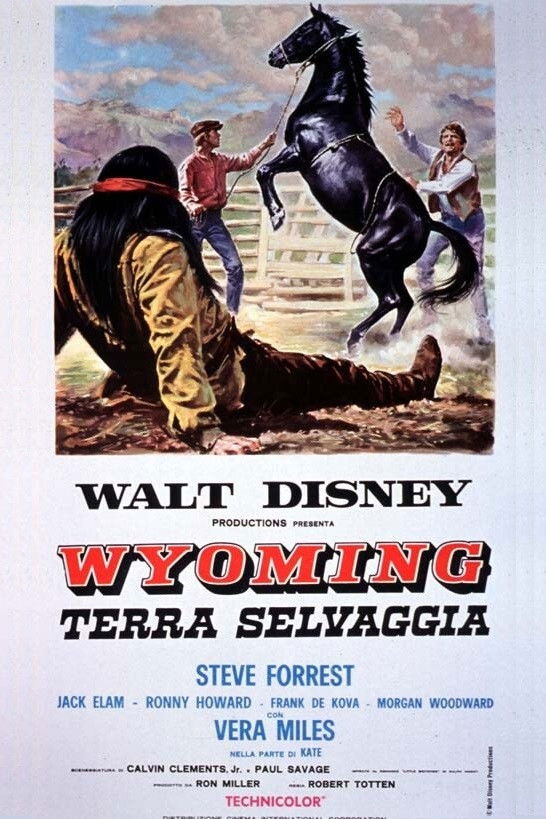 Locandina di Wyoming, terra selvaggia