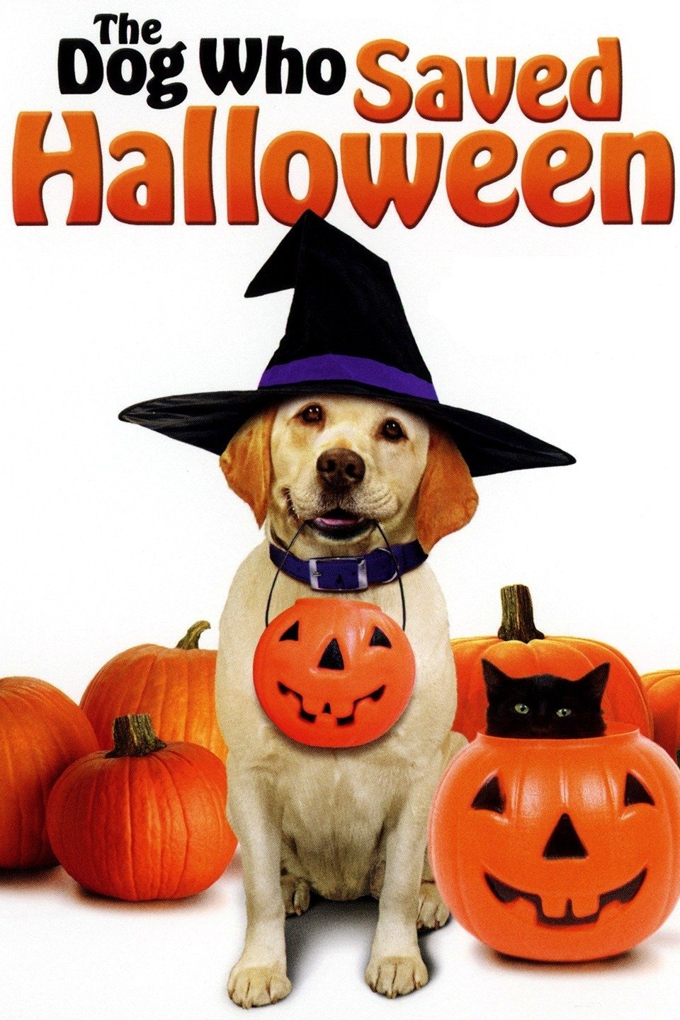 Locandina di Zeus alla conquista di Halloween